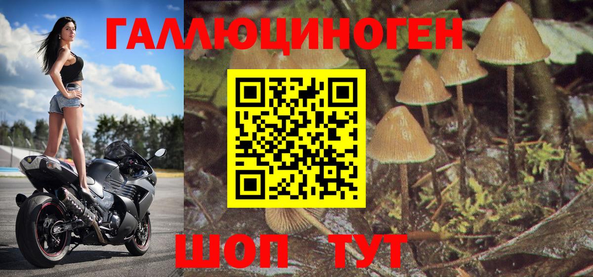 Галлюциногенные грибы GOLDEN TEACHER  Галлюциногенные грибы мухоморы  Вход с VPN  Россия 